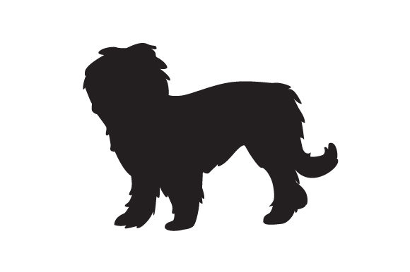 Briard Dog: A Designer’s Real-World Embroidery Review