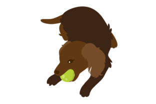 Dog Holding Apple in Mouth