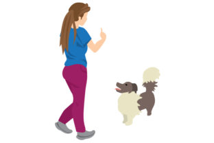 Dog Obedience Training